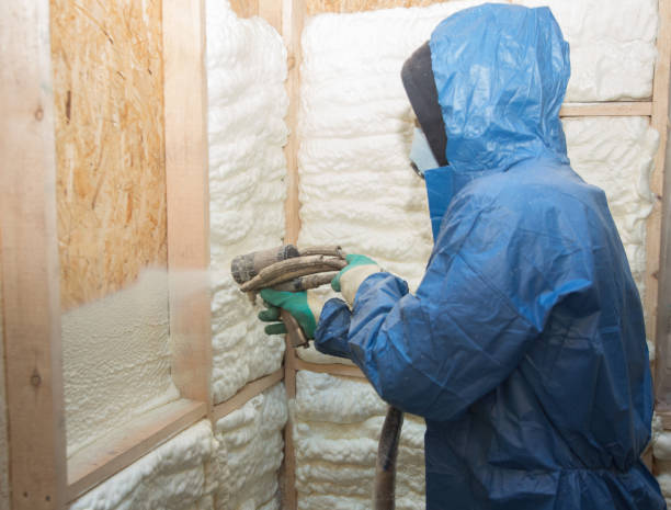 Best Spray Foam Insulation  in Ocoee, FL